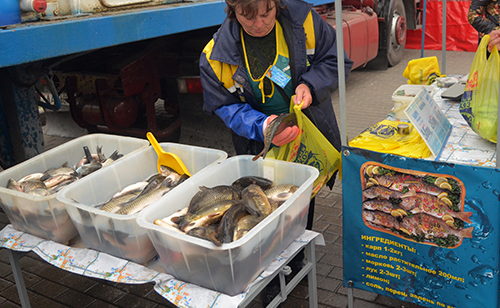 Продажа рыбы на ярмарке: карп, судак, амур